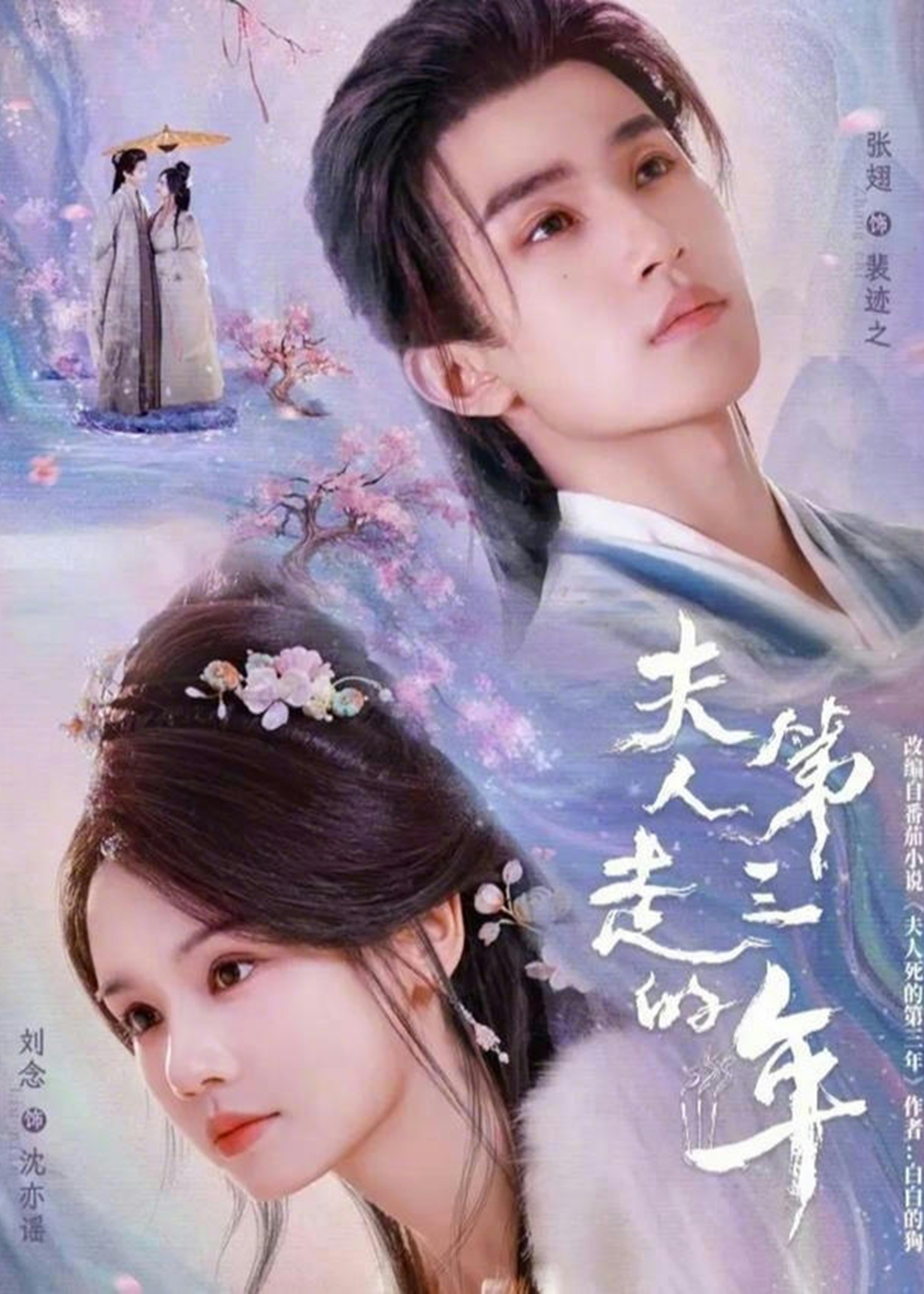 夫人走的第三年(全集)