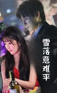 雪落意难平 第01-35集(大结局)